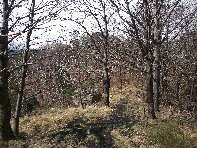 nte Cagliato-20110220 036